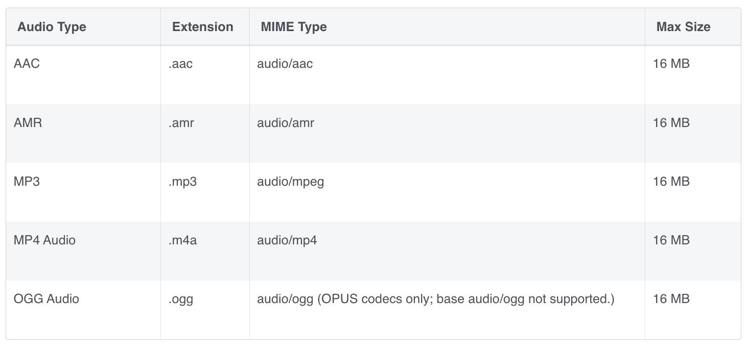 Supported audio formats as per META